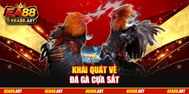 Khái quát về đá gà cựa sắt