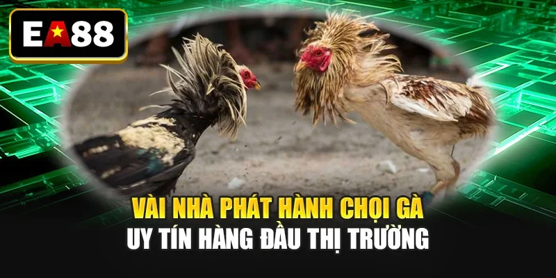 Vài nhà phát hành chọi gà uy tín hàng đầu thị trường Vài nhà phát hành chọi gà uy tín hàng đầu thị trường