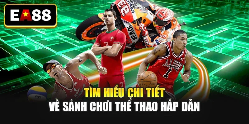Tìm hiểu chi tiết về sảnh chơi thể thao hấp dẫn